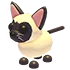 Siamese Cat