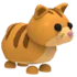 Ginger Cat