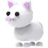 Snow Cat