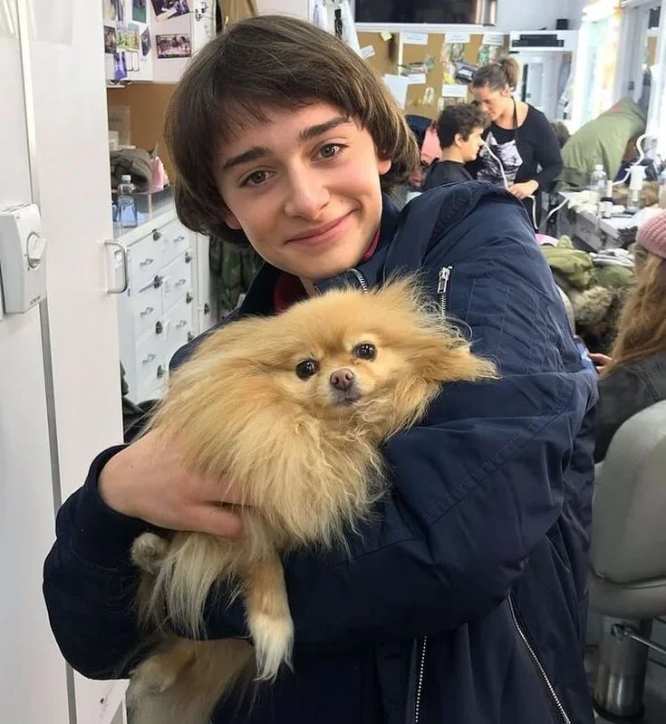 Noah Schnapp 