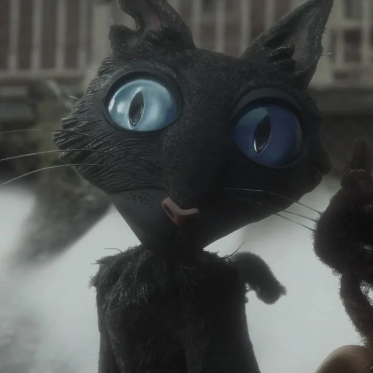 The Cat
