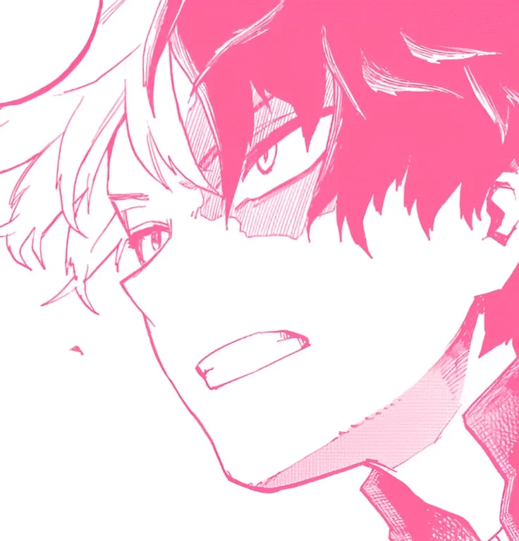 Shoto todoroki 