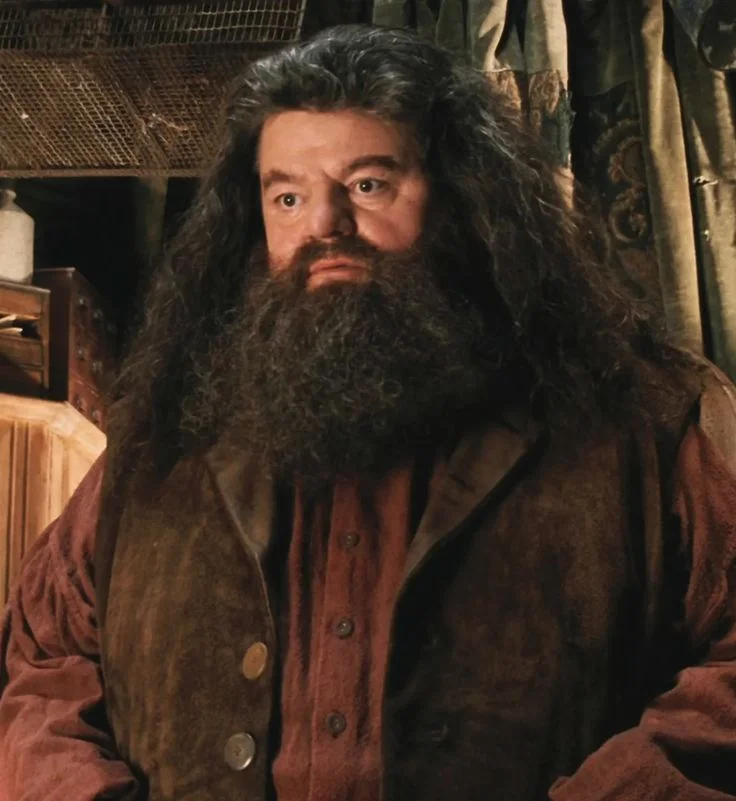 Rubeus Hagrid