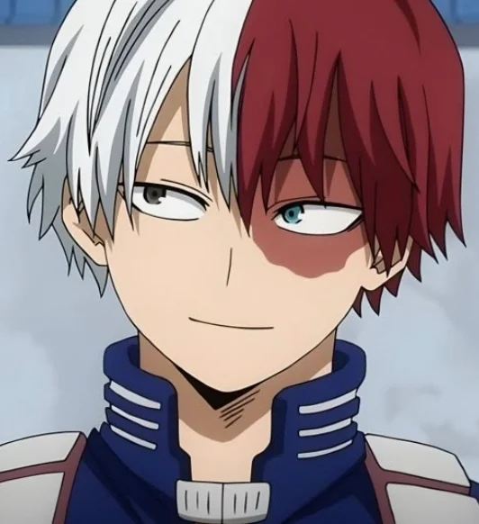 Shoto Todoroki
