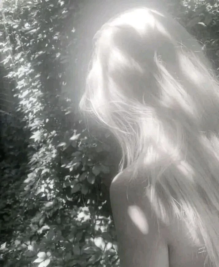 Lyly white