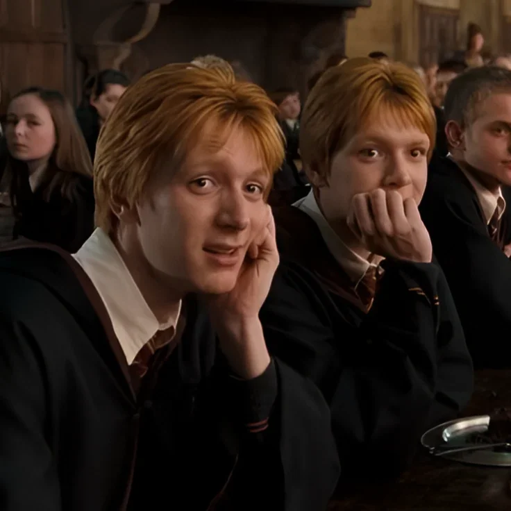 Fred and George Weasley