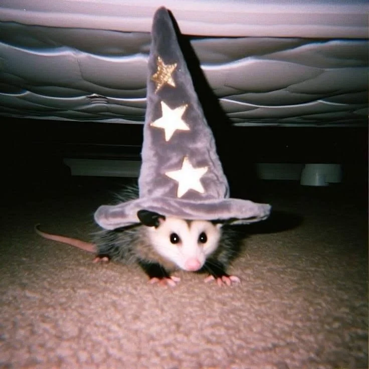 Cam Cat