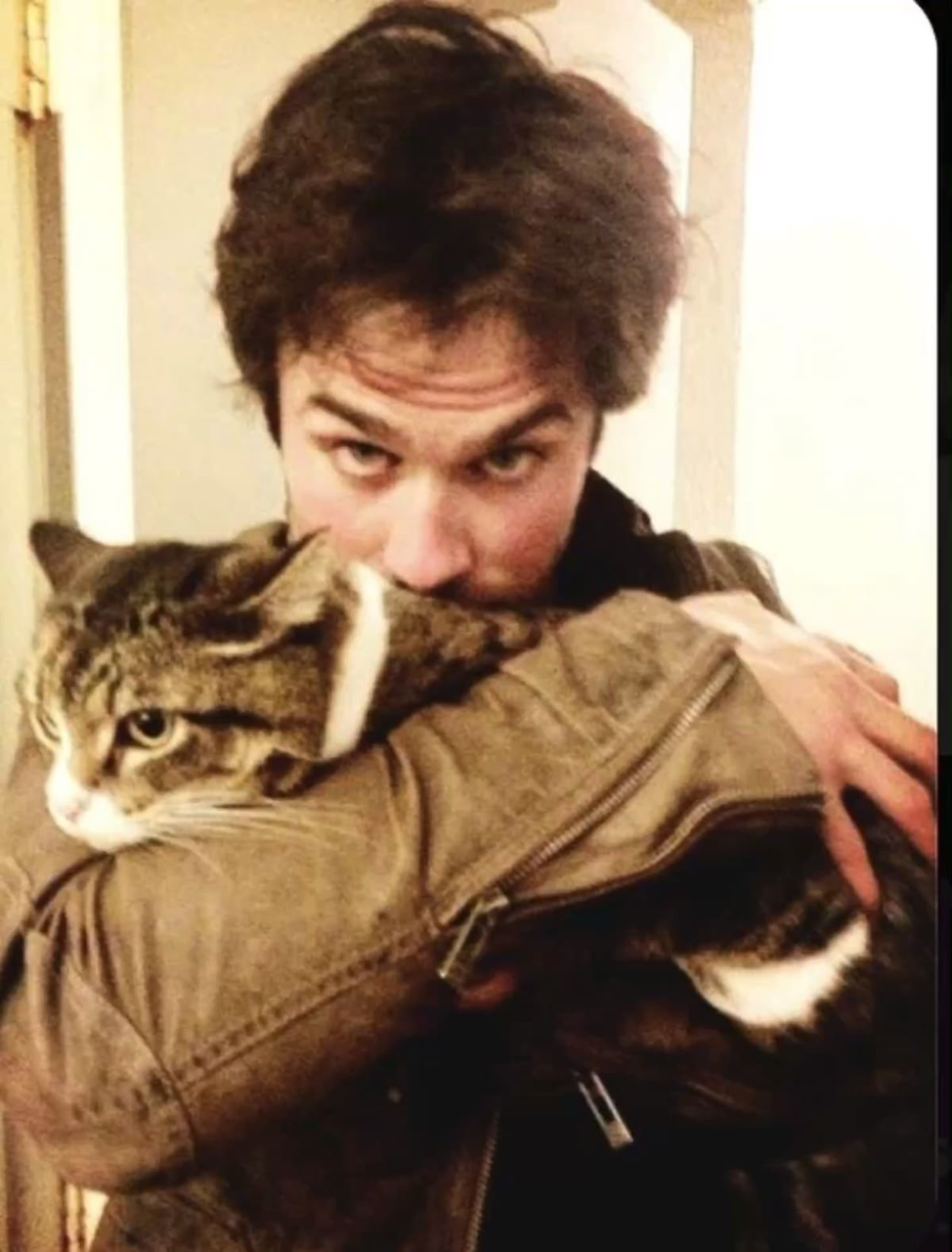 Damon Salvatore? 