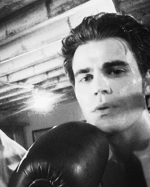 Stefan salvatore?