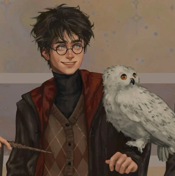 Harry Potter