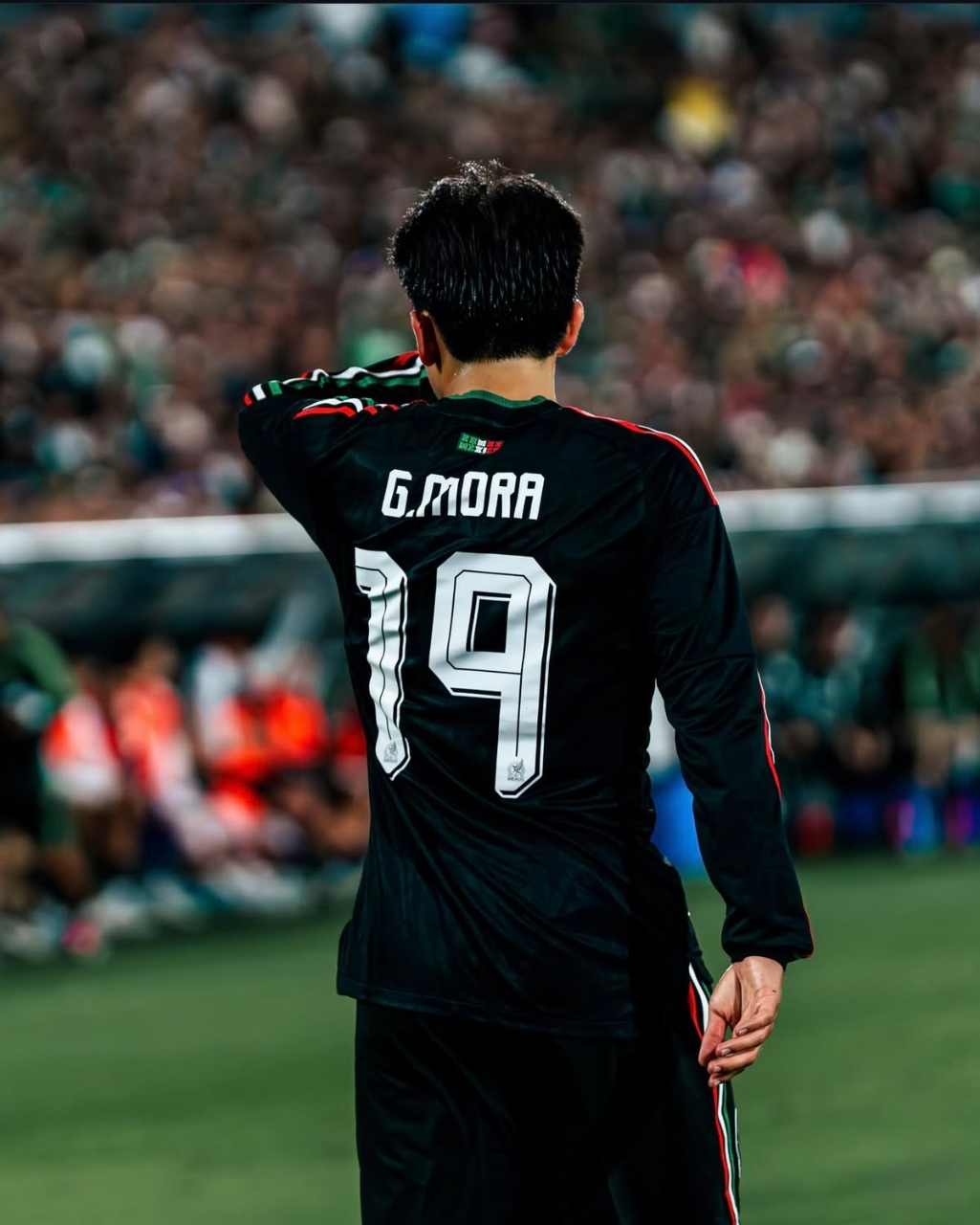 Gil Mora