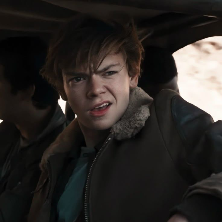 Newt