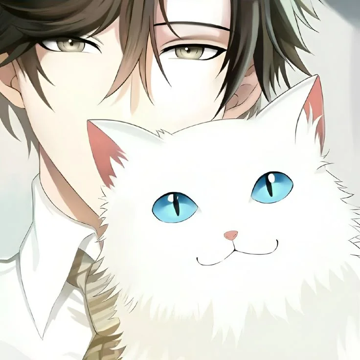 Jumin han