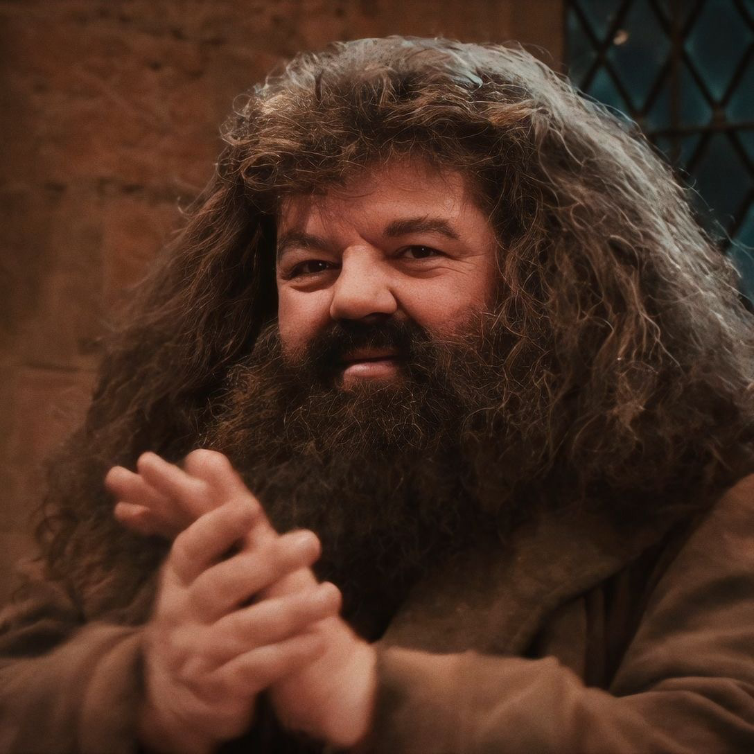 Rubeus Hagrid