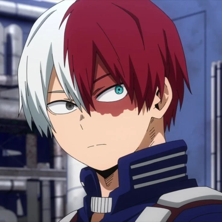 Shoto Todoroki 