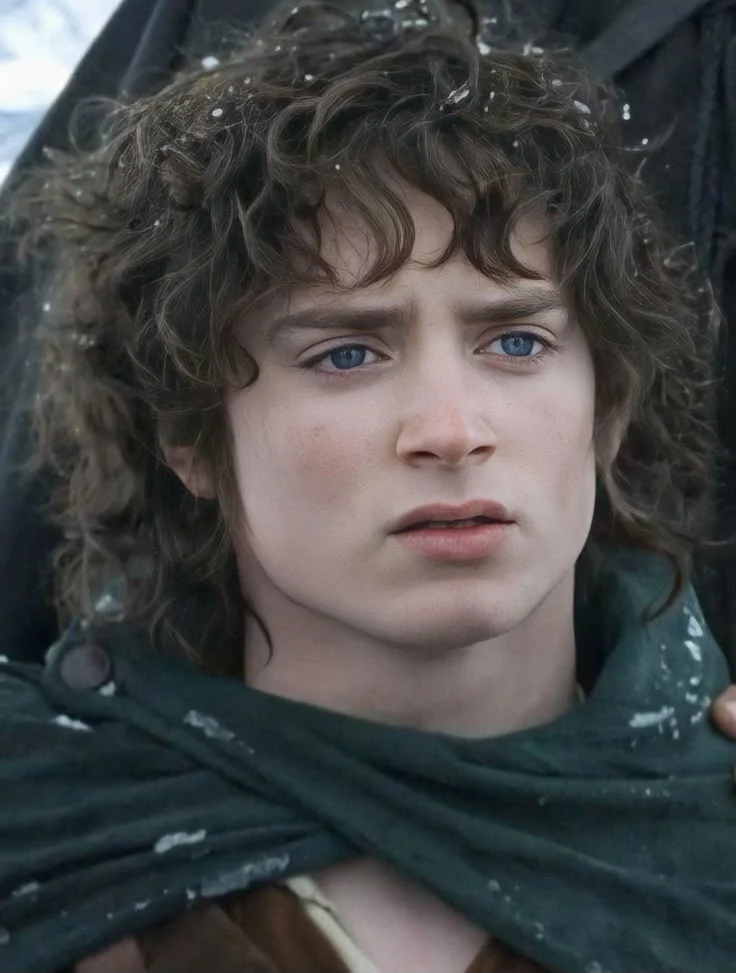 Frodo Baggins